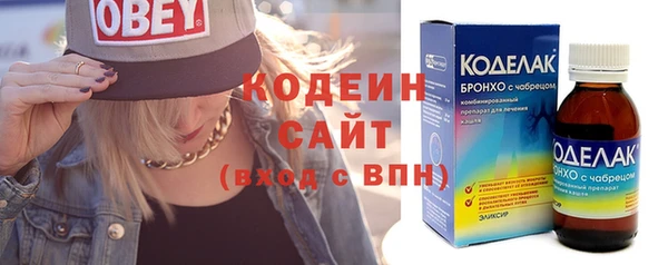 спиды Каменка