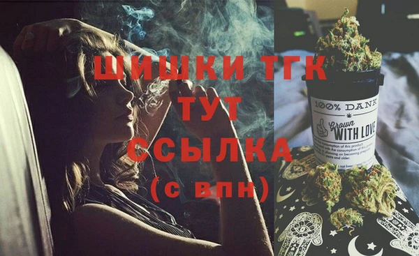 спиды Каменка