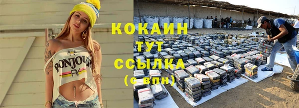 мет Касимов