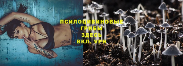 мет Касимов