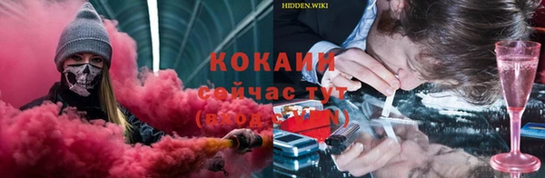 спиды Каменка