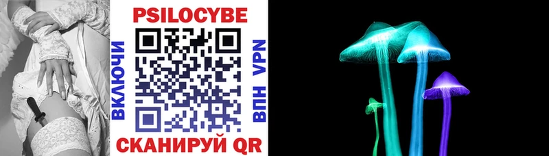 Псилоцибиновые грибы Cubensis Купить закладки Изобильный