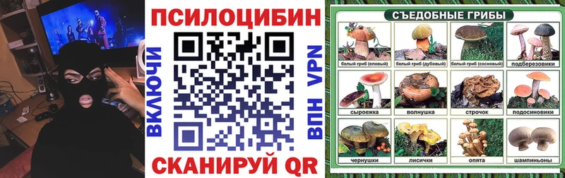 Галлюциногенные грибы Psilocybine cubensis Изобильный